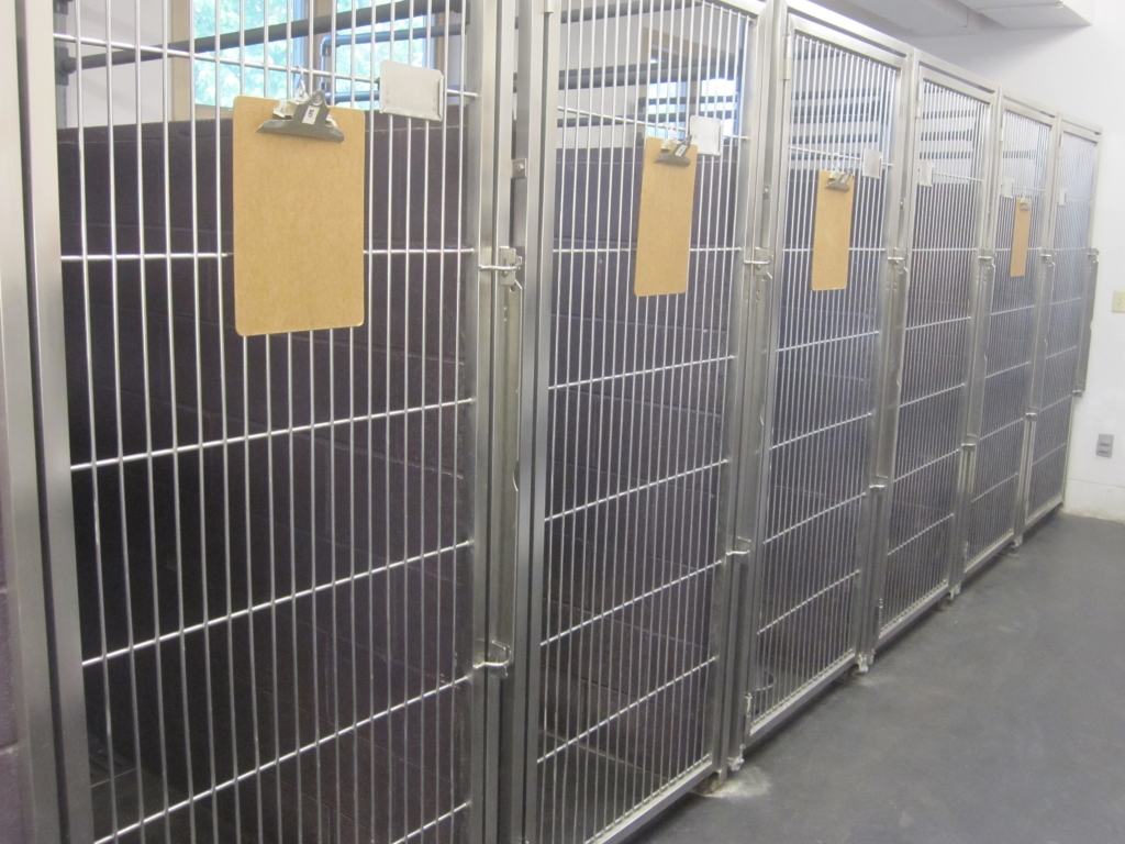 Large dog kennels